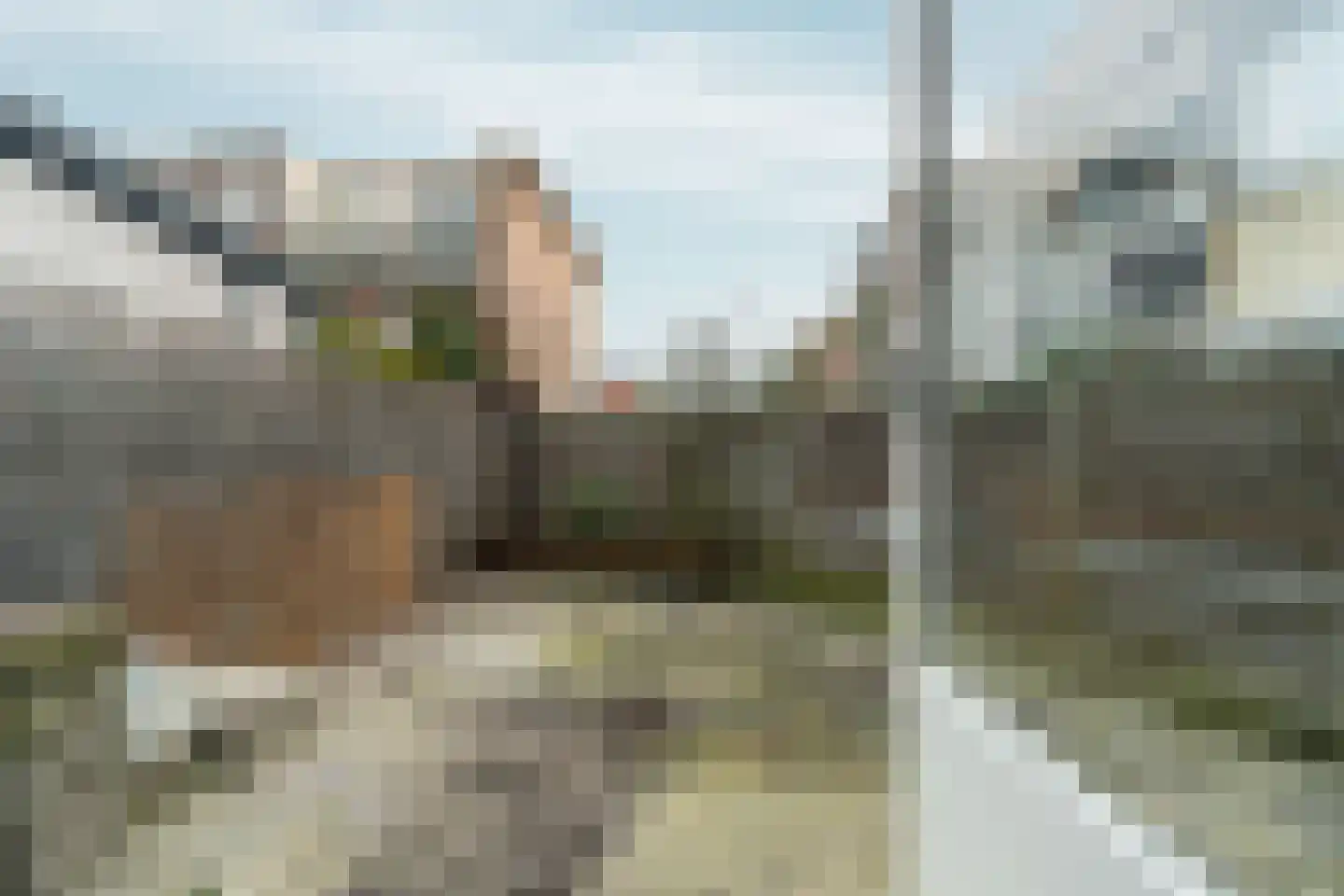 Loosduinsekade 496 Den Haag thumbnail 23