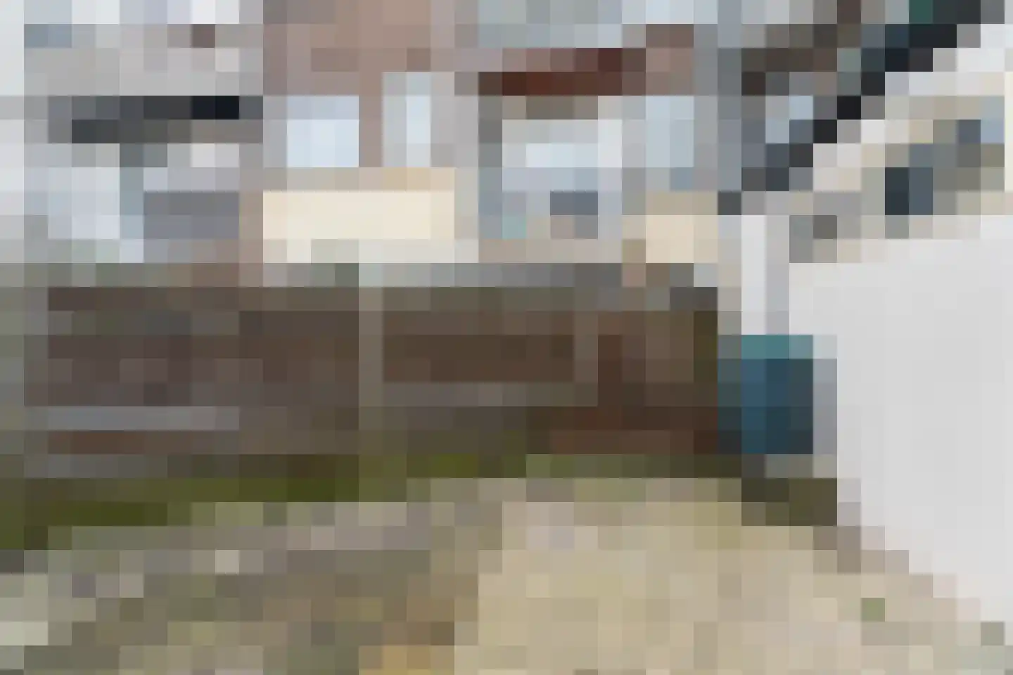 Loosduinsekade 496 Den Haag thumbnail 24
