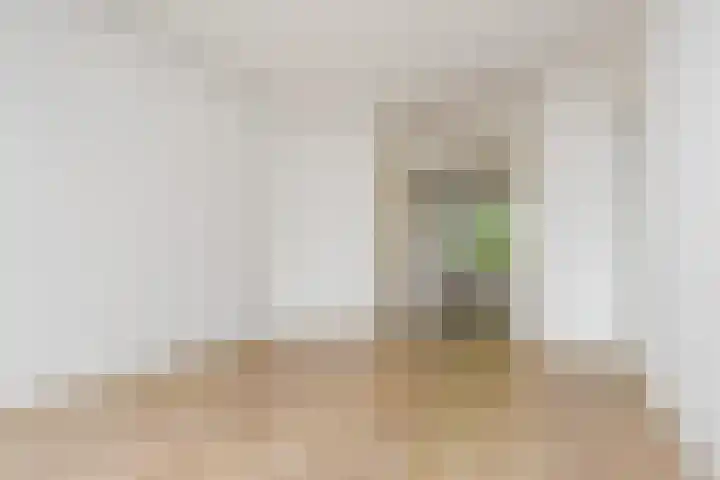 Loosduinsekade 513 Den Haag thumbnail 11