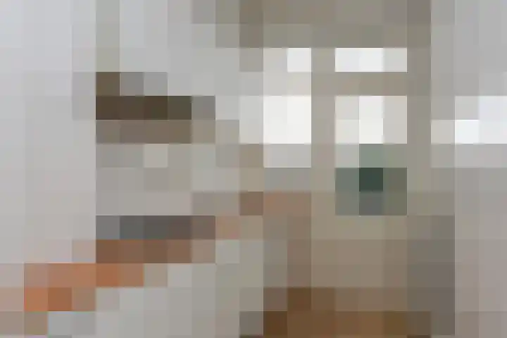 Loosduinsekade 513 Den Haag thumbnail 14