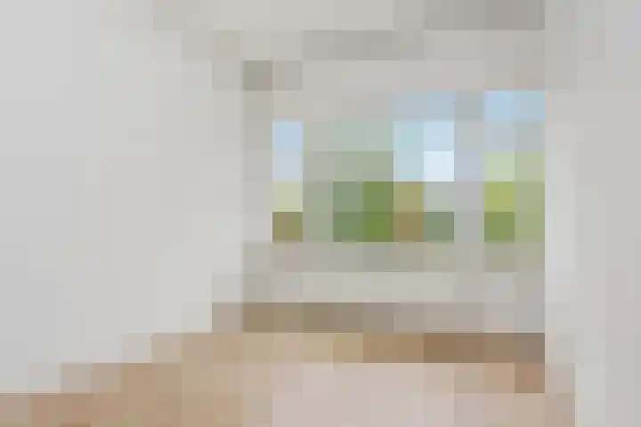 Loosduinsekade 513 Den Haag thumbnail 21