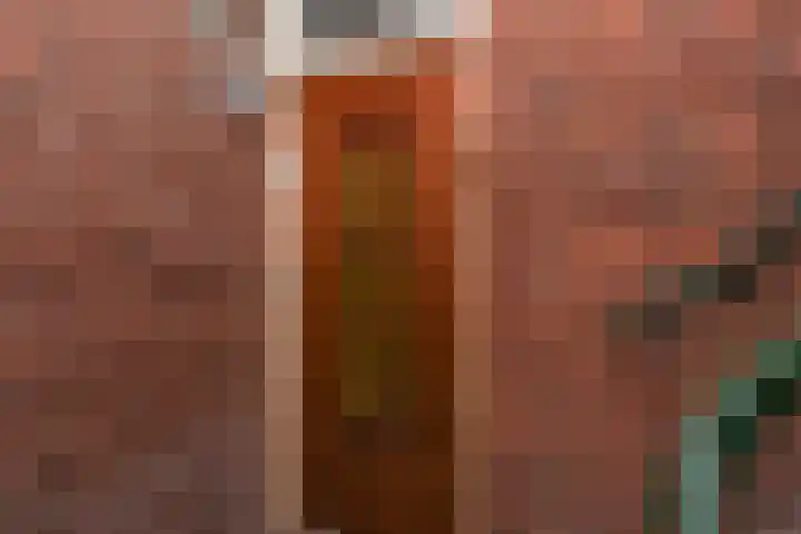 Loosduinsekade 513 Den Haag thumbnail 27