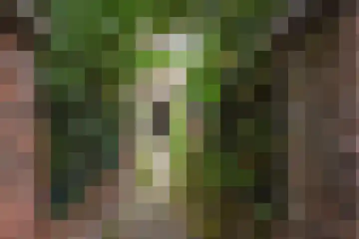 Loosduinsekade 513 Den Haag thumbnail 31