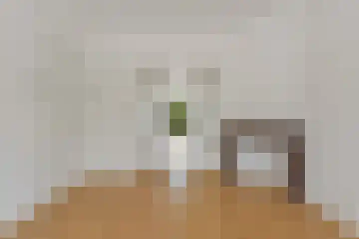 Loosduinsekade 517 Den Haag thumbnail 4