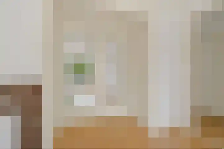 Loosduinsekade 517 Den Haag thumbnail 5