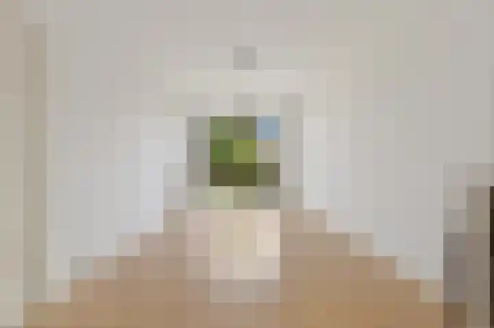 Loosduinsekade 517 Den Haag thumbnail 7