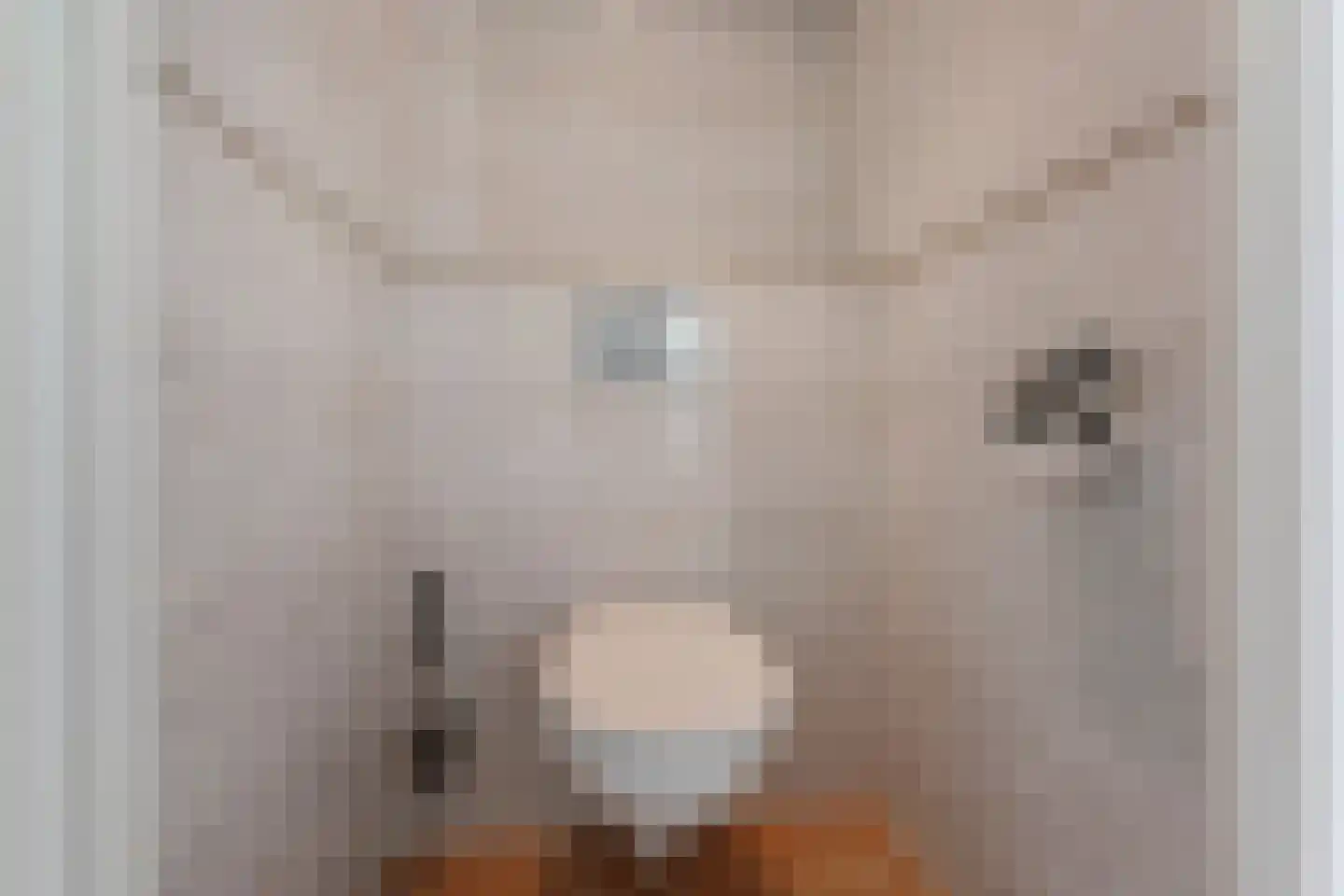 Loosduinsekade 520 Den Haag thumbnail 13
