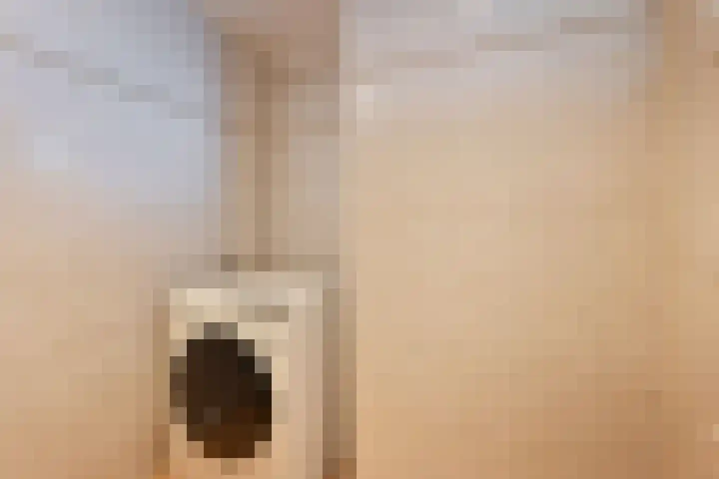 Loosduinsekade 520 Den Haag thumbnail 19