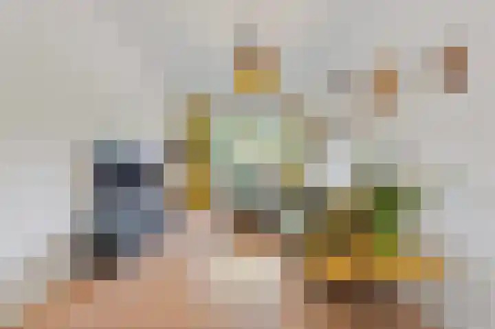 Loosduinsekade 533 Den Haag thumbnail 12