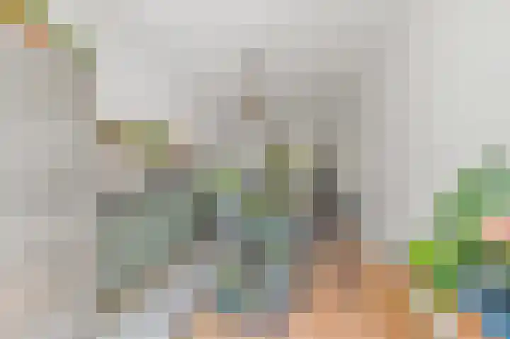Loosduinsekade 533 Den Haag thumbnail 14