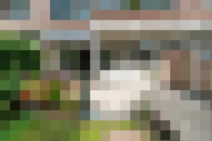 Loosduinsekade 533 Den Haag thumbnail 18