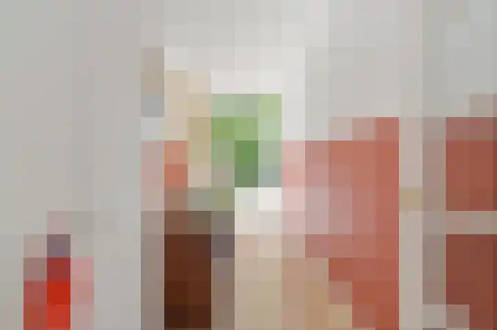 Loosduinsekade 533 Den Haag thumbnail 24