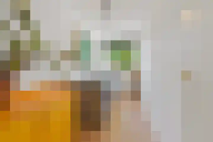 Loosduinsekade 533 Den Haag thumbnail 26