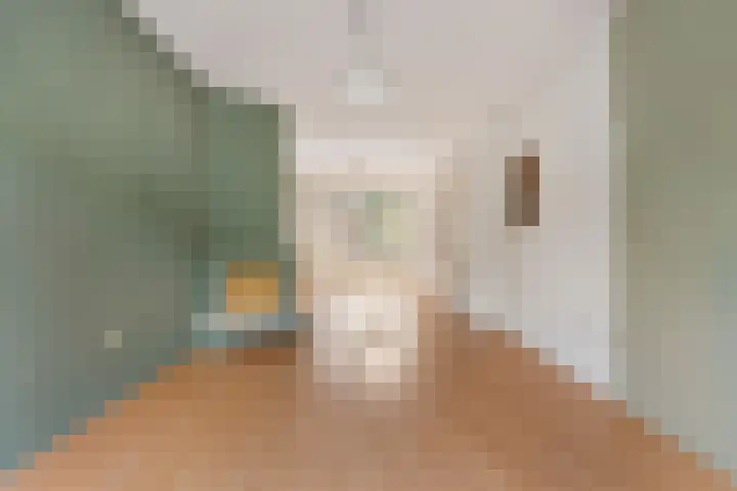 Loosduinsekade 542 Den Haag thumbnail 19