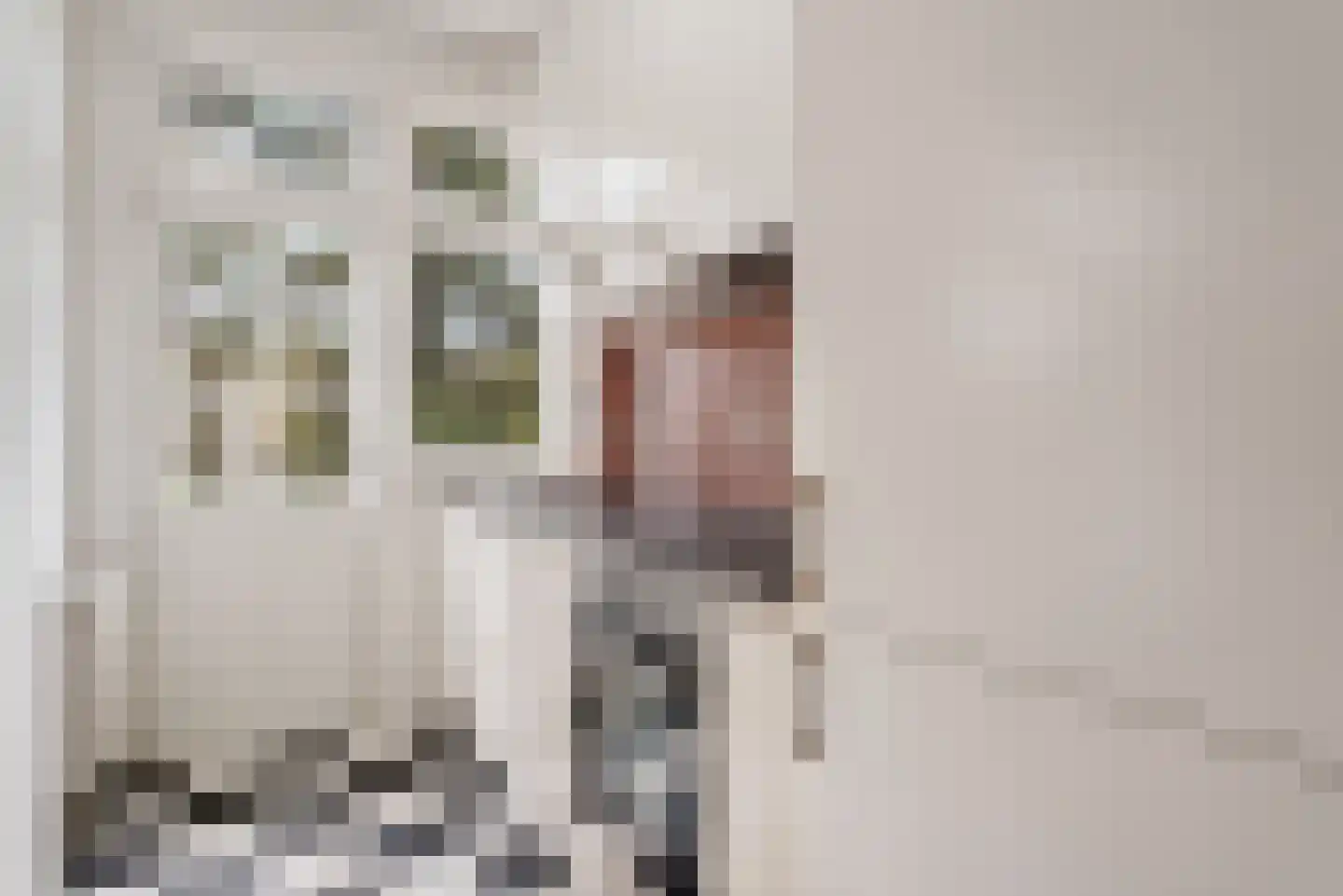 Loosduinsekade 542 Den Haag thumbnail 25