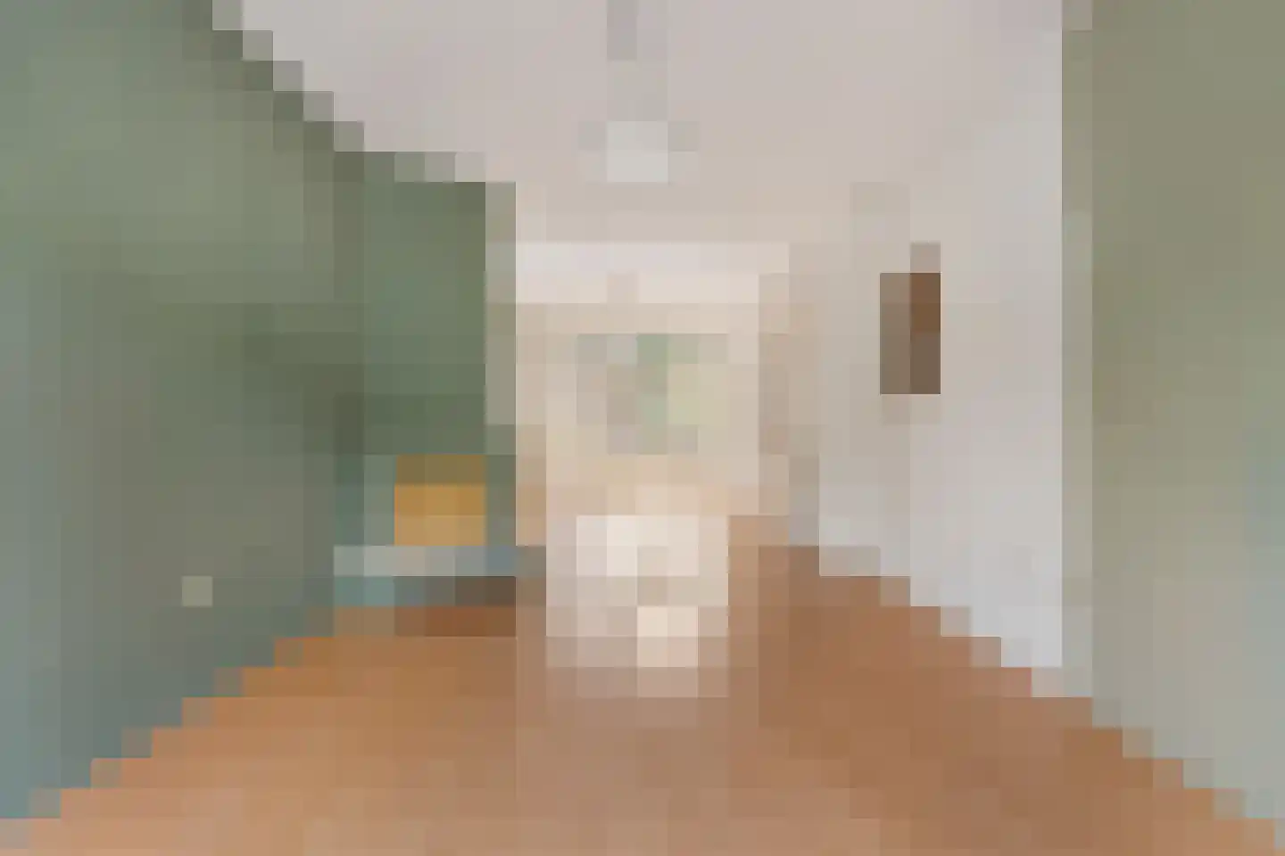Loosduinsekade 542 Den Haag thumbnail 6