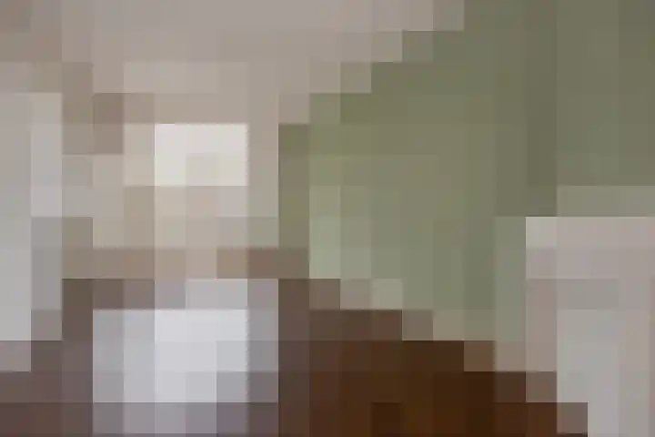 Loosduinsekade 545 Den Haag thumbnail 11