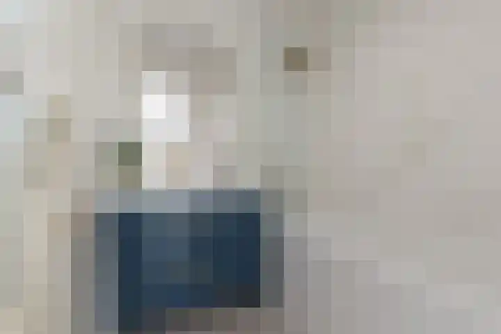 Loosduinsekade 545 Den Haag thumbnail 19