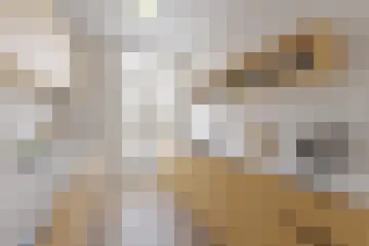 Loosduinsekade 545 Den Haag thumbnail 4