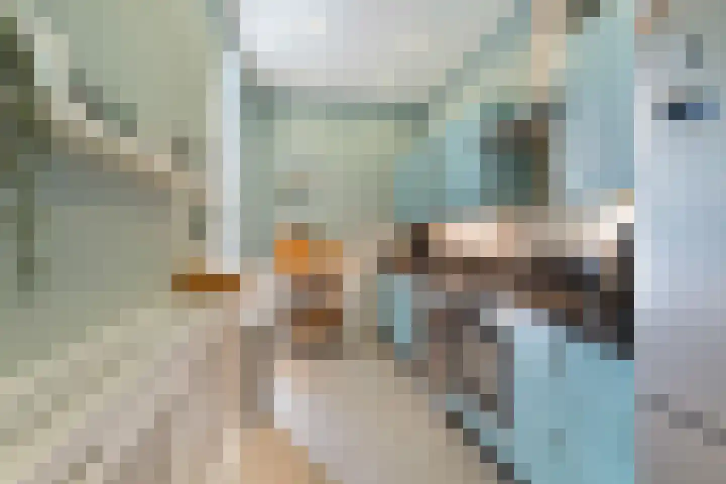 Loosduinsekade 55 Den Haag thumbnail 14