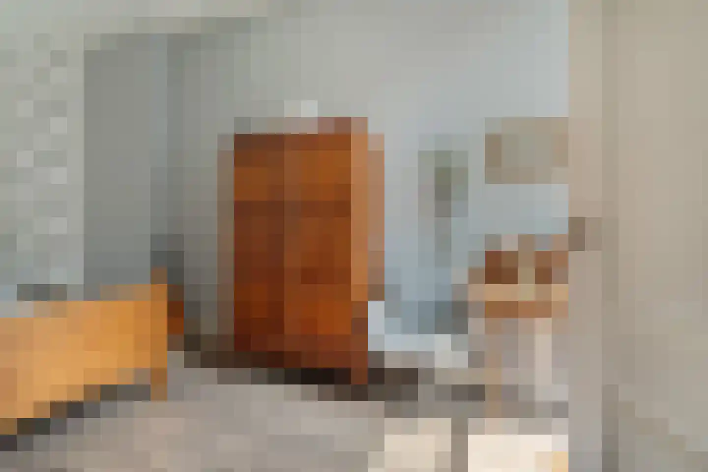 Loosduinsekade 55 Den Haag thumbnail 19