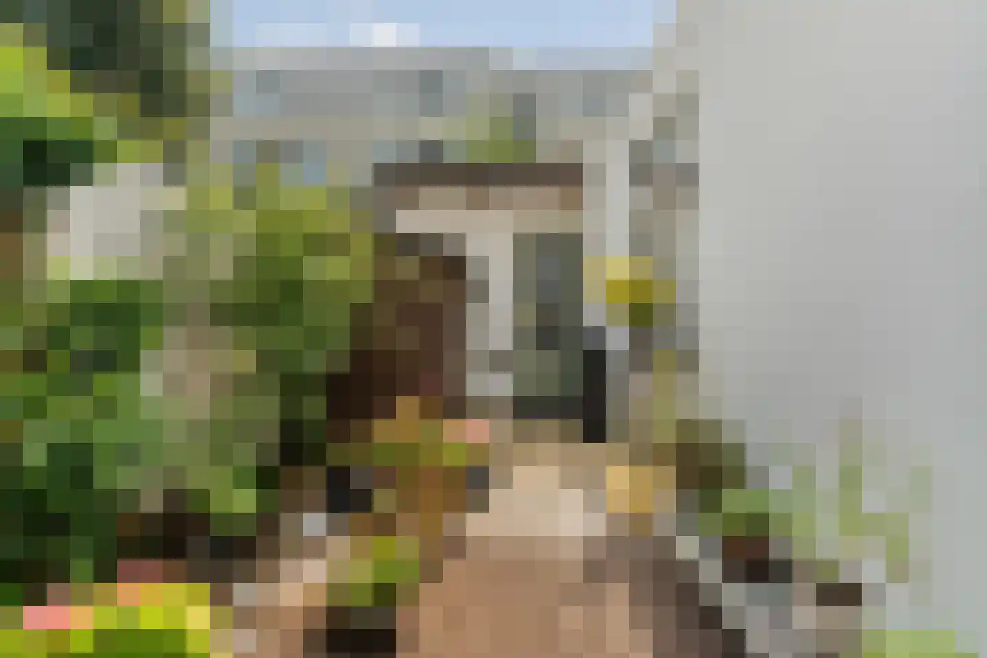 Loosduinsekade 55 Den Haag thumbnail 33