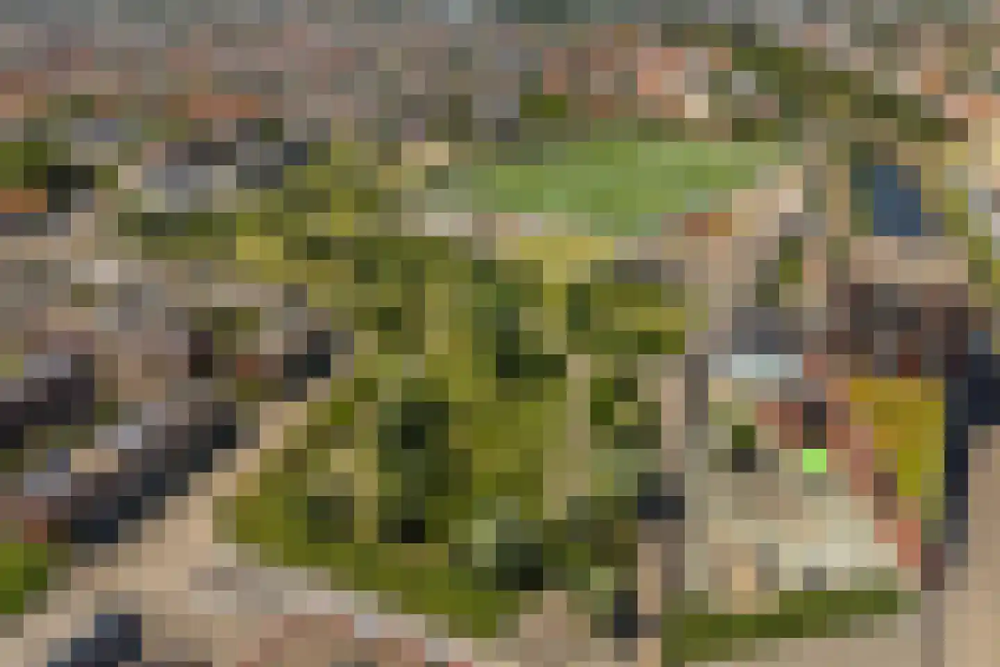 Loosduinsekade 55 Den Haag thumbnail 37