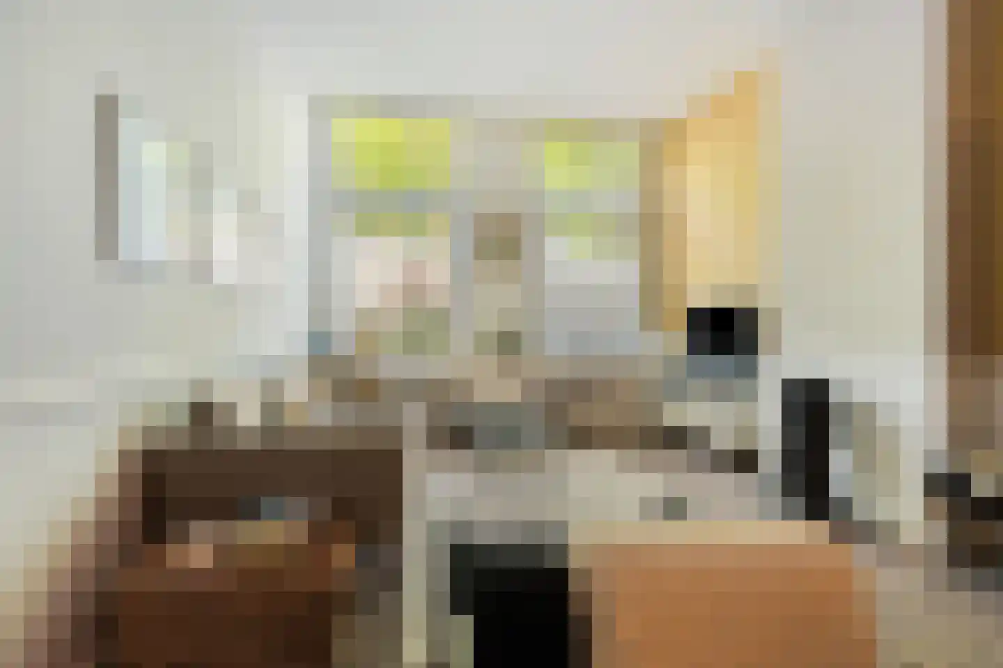 Loosduinsekade 55 Den Haag thumbnail 38