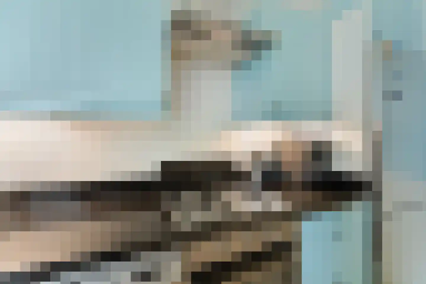 Loosduinsekade 55 Den Haag thumbnail 46
