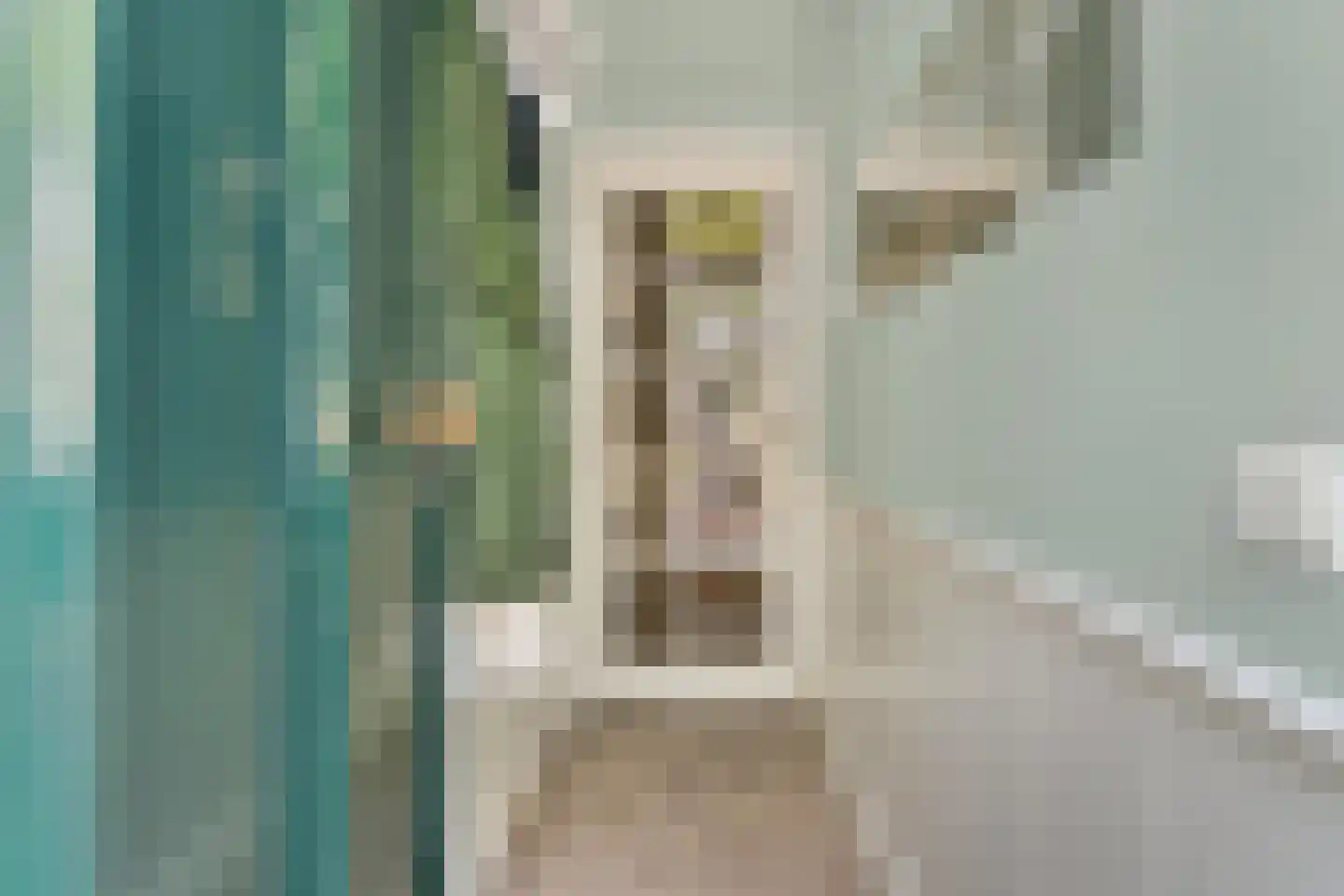 Loosduinsekade 55 Den Haag thumbnail 5