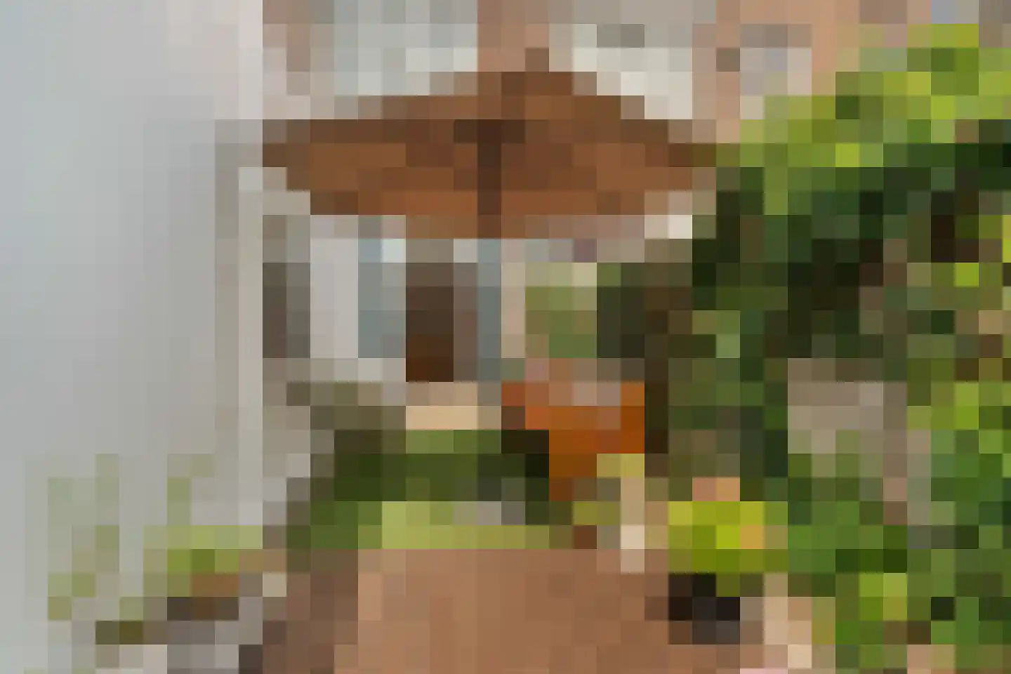 Loosduinsekade 55 Den Haag thumbnail 55