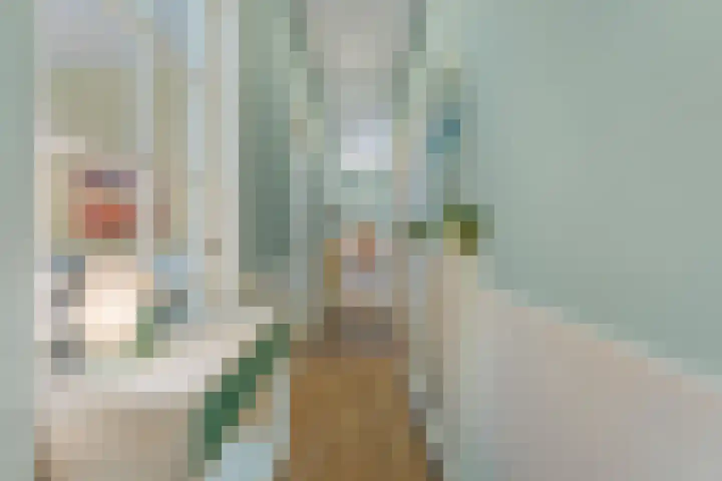 Loosduinsekade 55 Den Haag thumbnail 7