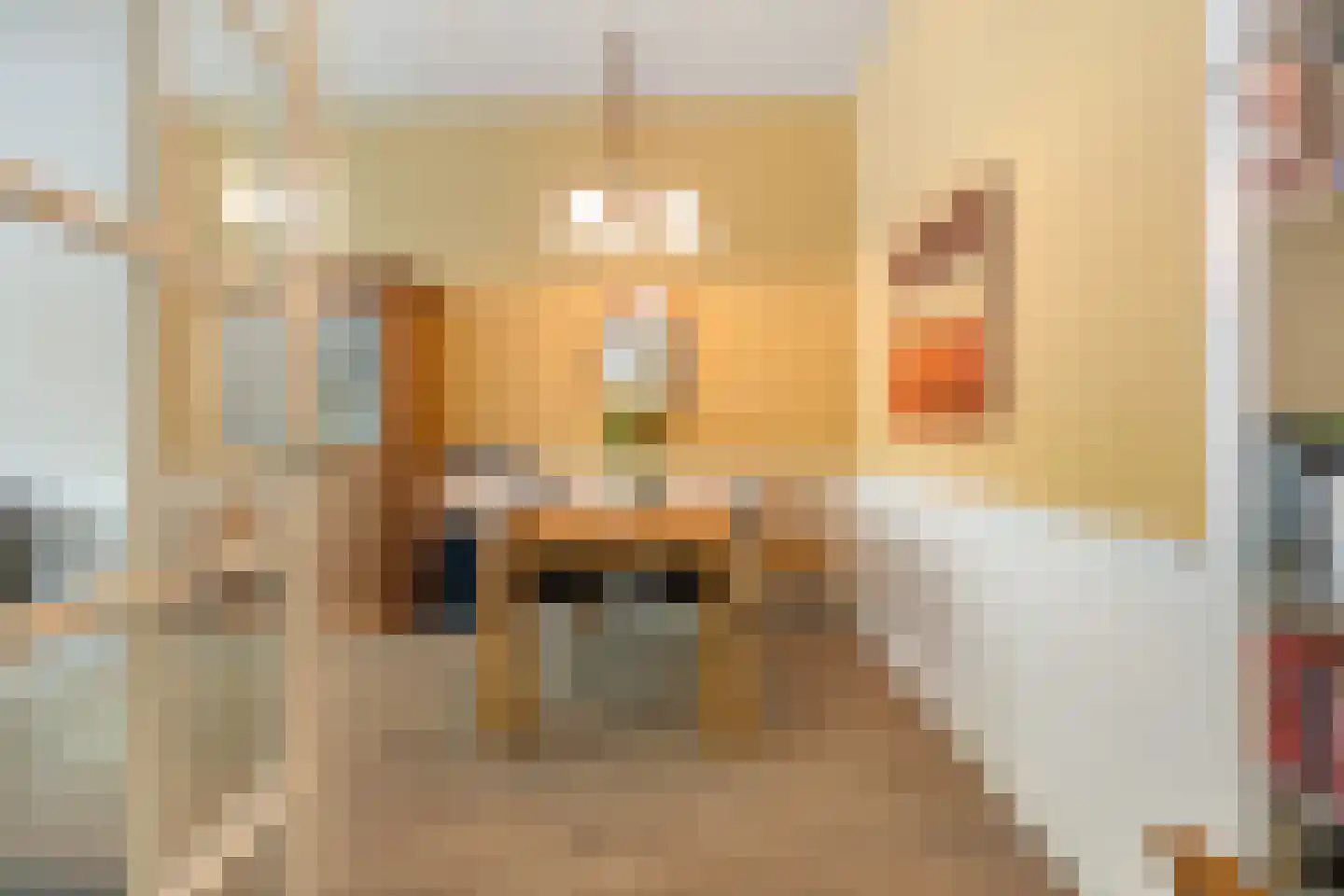 Loosduinsekade 55 Den Haag thumbnail 8