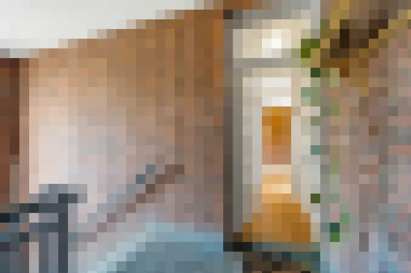Loosduinsekade 570 Den Haag thumbnail 14