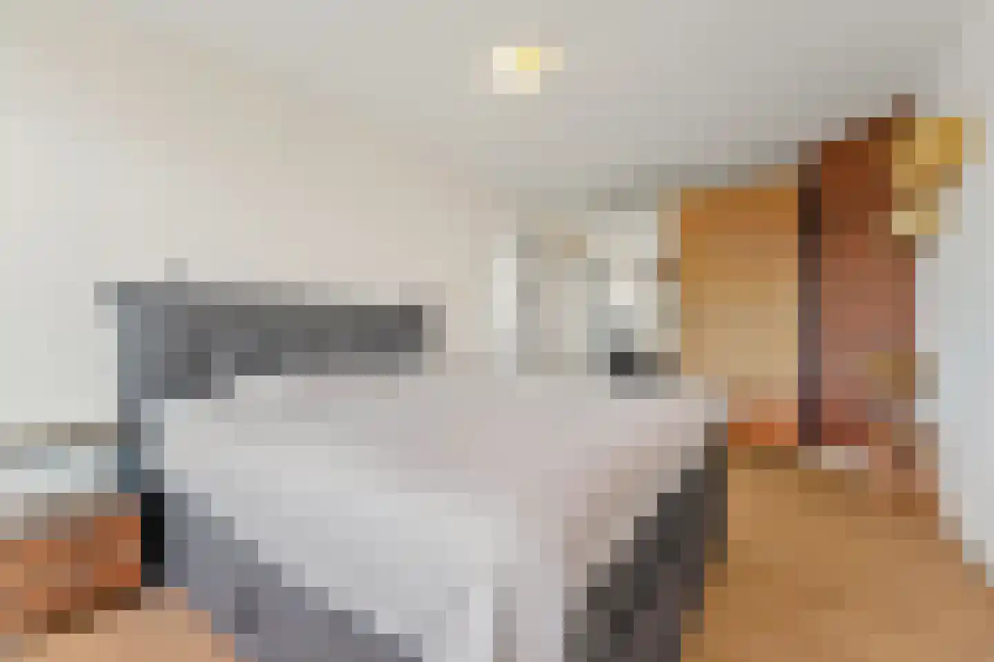 Loosduinsekade 570 Den Haag thumbnail 26