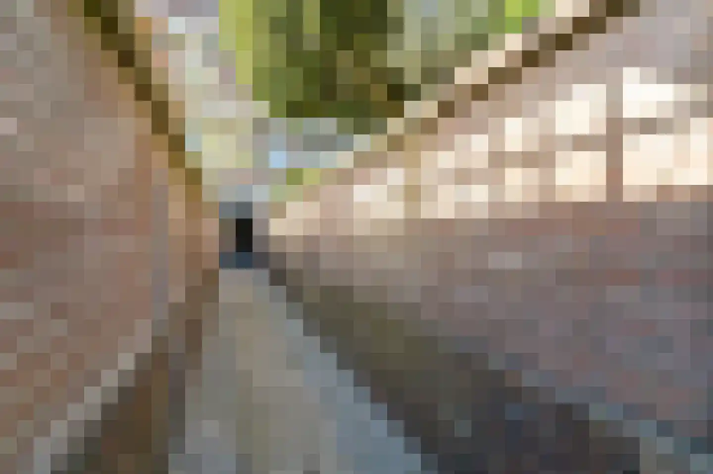Loosduinsekade 570 Den Haag thumbnail 31