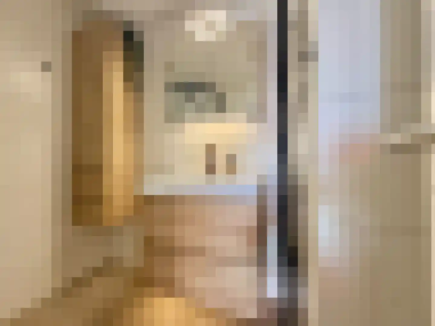 Loosduinsekade 570 Den Haag thumbnail 8