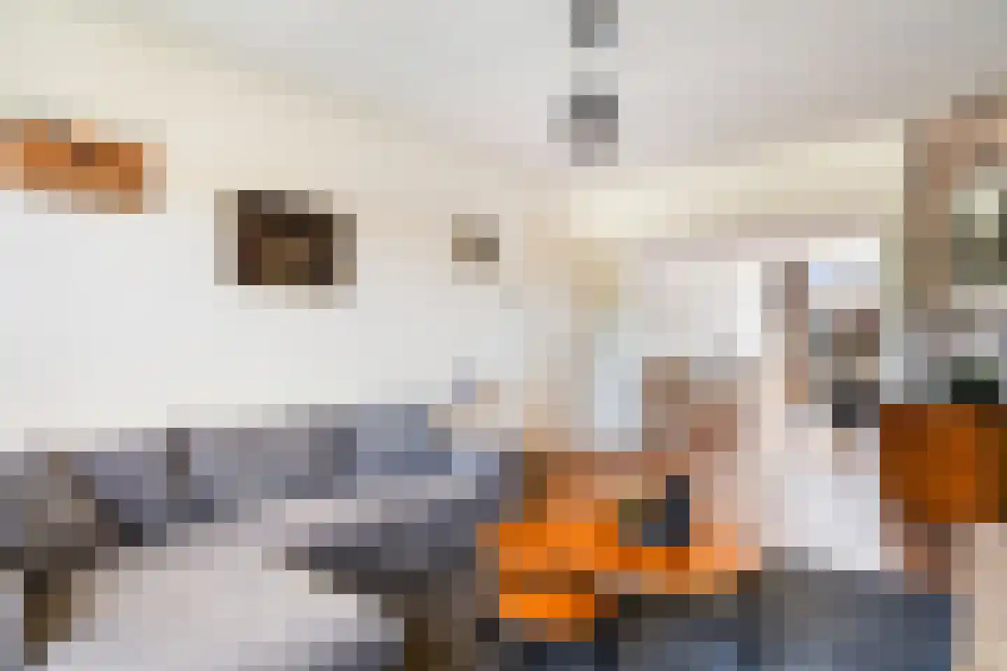Loosduinsekade 571 Den Haag thumbnail 15