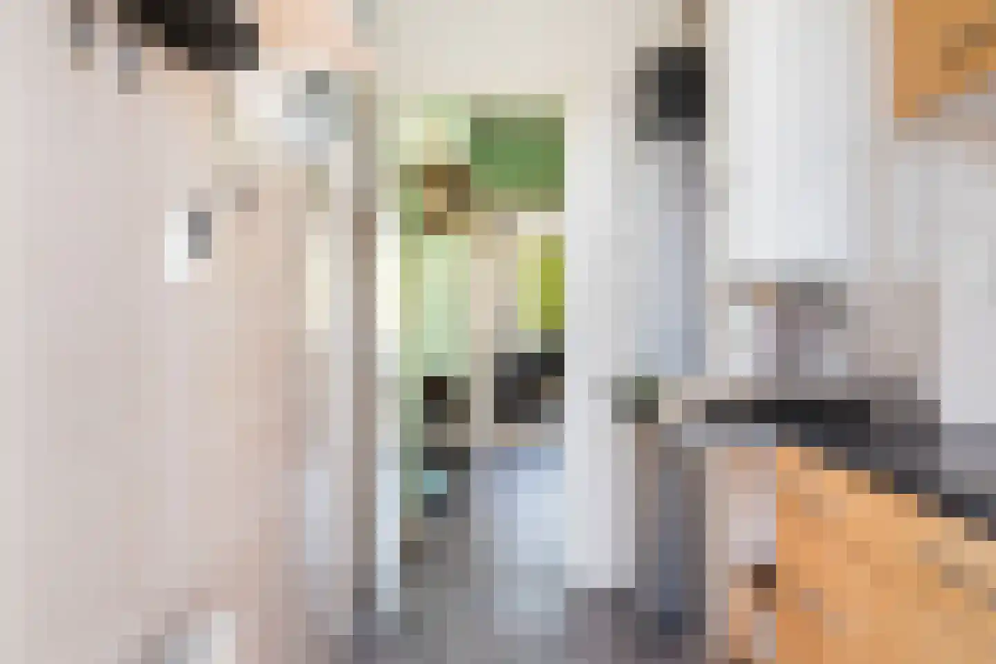 Loosduinsekade 571 Den Haag thumbnail 28