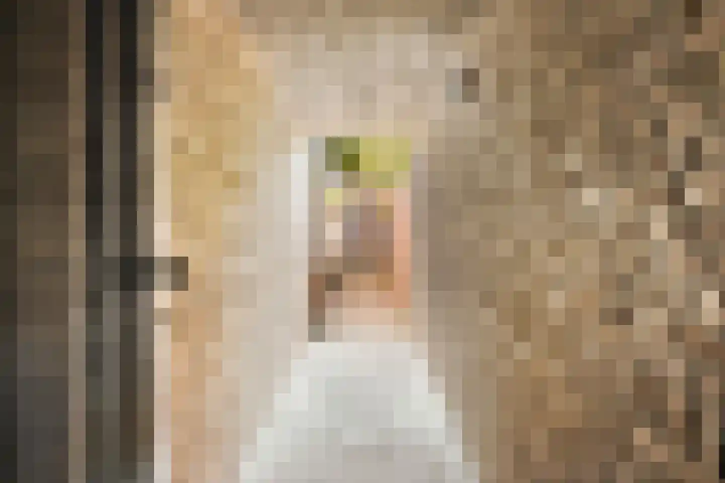 Loosduinsekade 571 Den Haag thumbnail 45