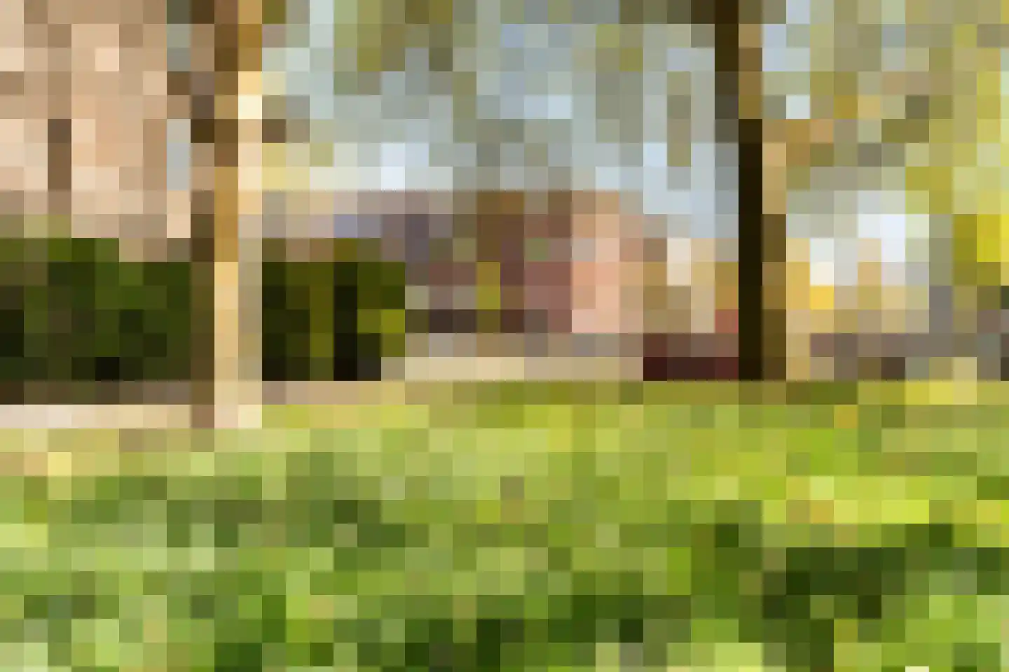 Loosduinsekade 571 Den Haag thumbnail 50