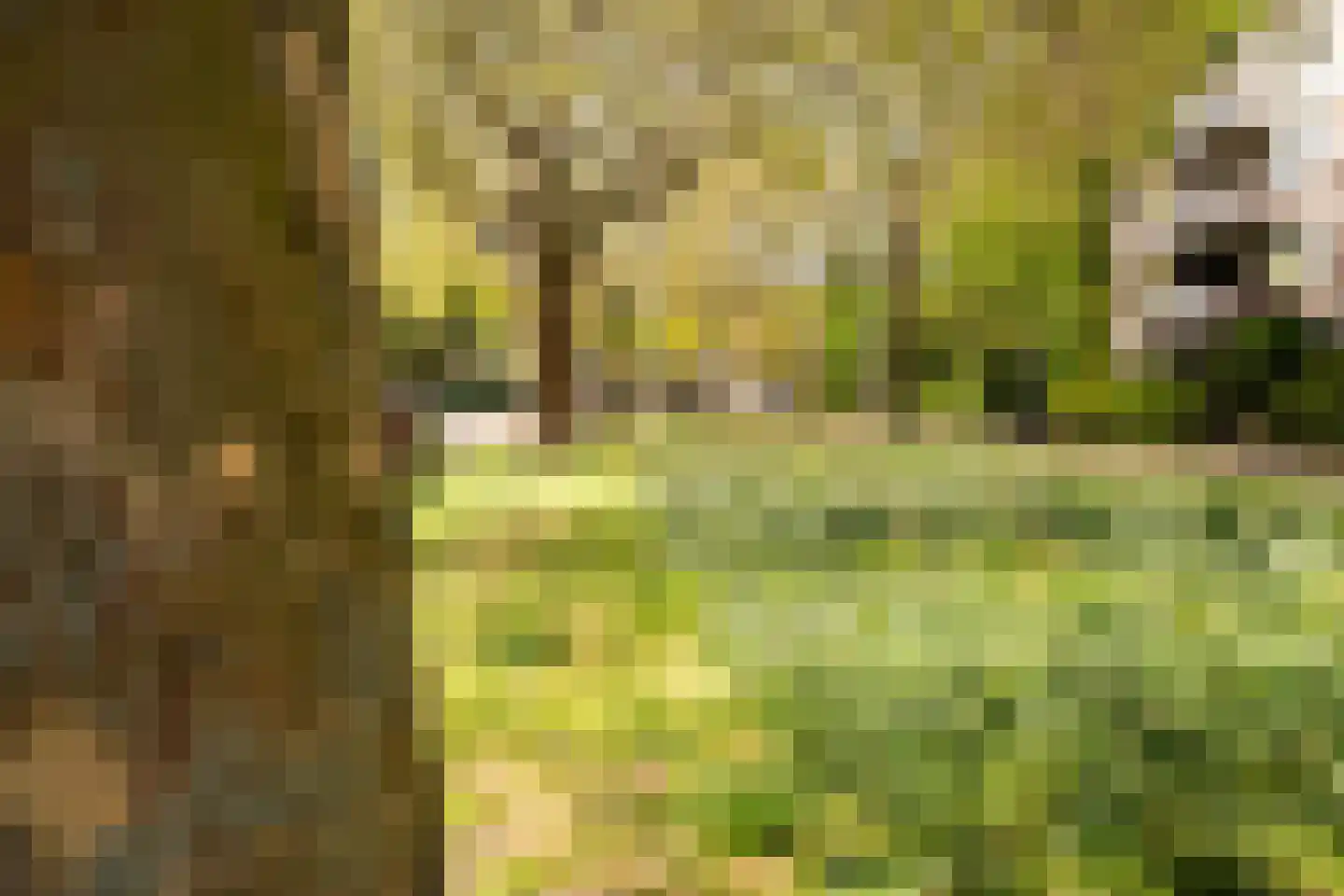 Loosduinsekade 571 Den Haag thumbnail 51