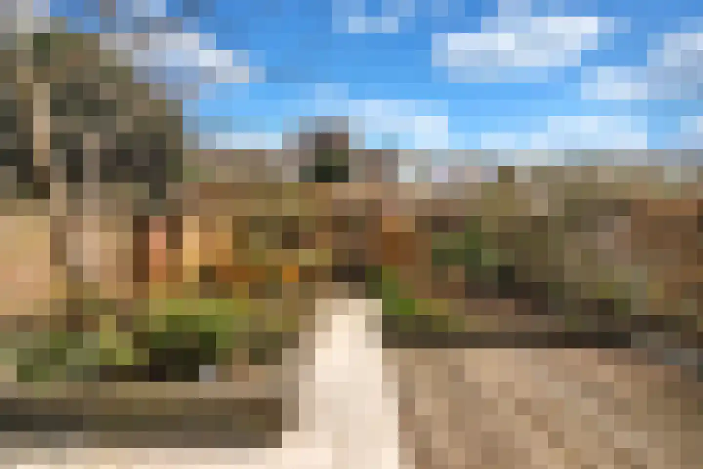 Loosduinsekade 573 Den Haag thumbnail 11