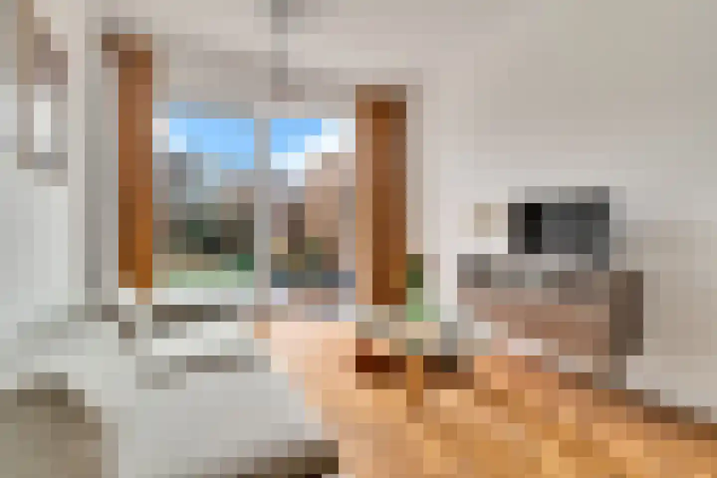 Loosduinsekade 573 Den Haag thumbnail 4