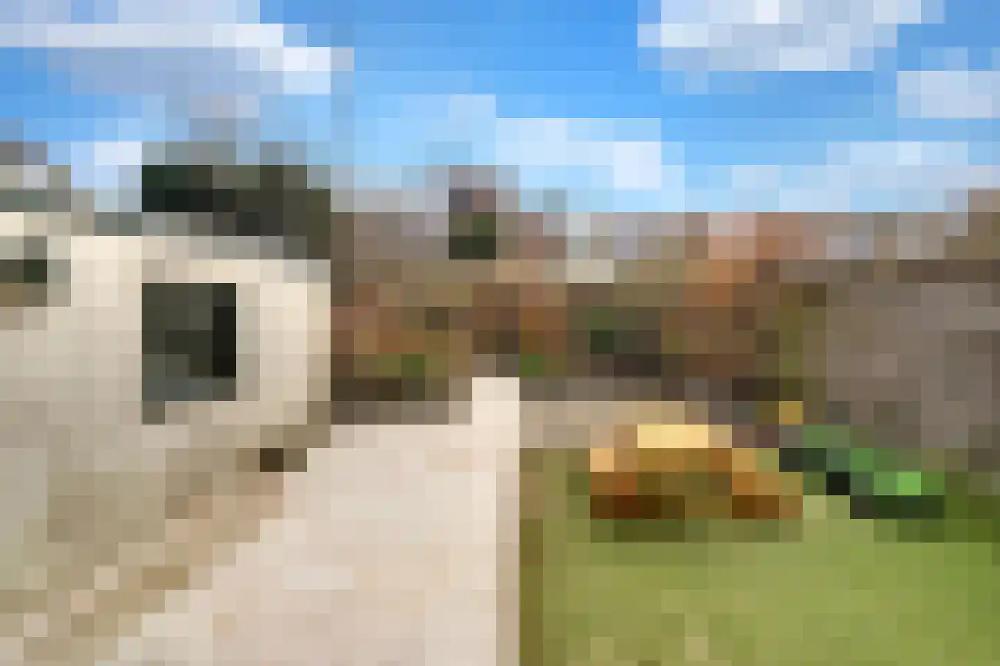 Loosduinsekade 573 Den Haag thumbnail 9
