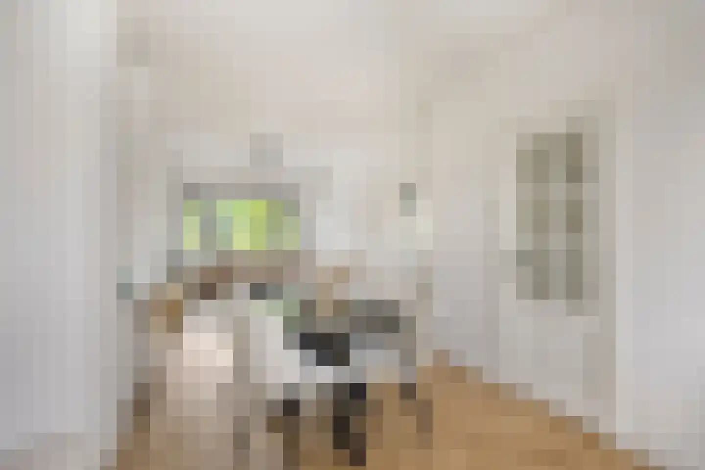 Loosduinsekade 575 Den Haag thumbnail 14