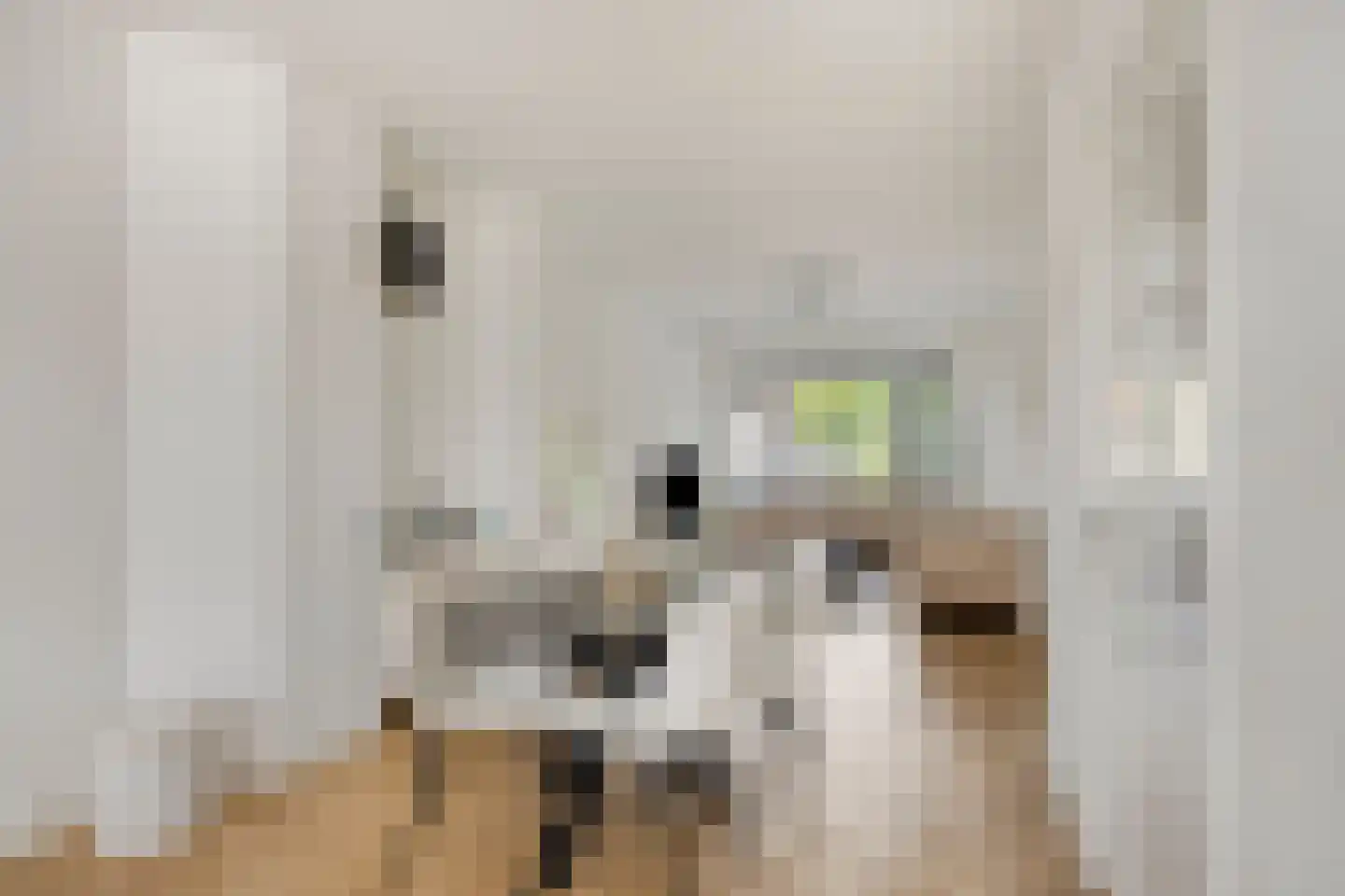 Loosduinsekade 575 Den Haag thumbnail 15