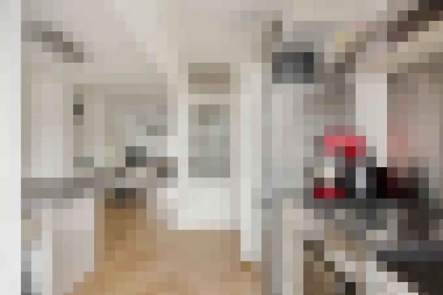 Loosduinsekade 575 Den Haag thumbnail 18