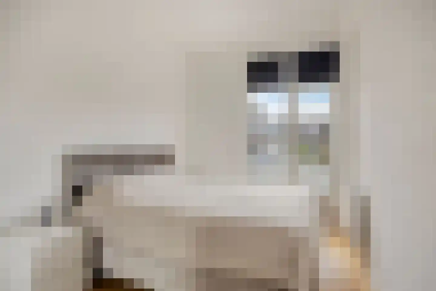 Loosduinsekade 575 Den Haag thumbnail 21