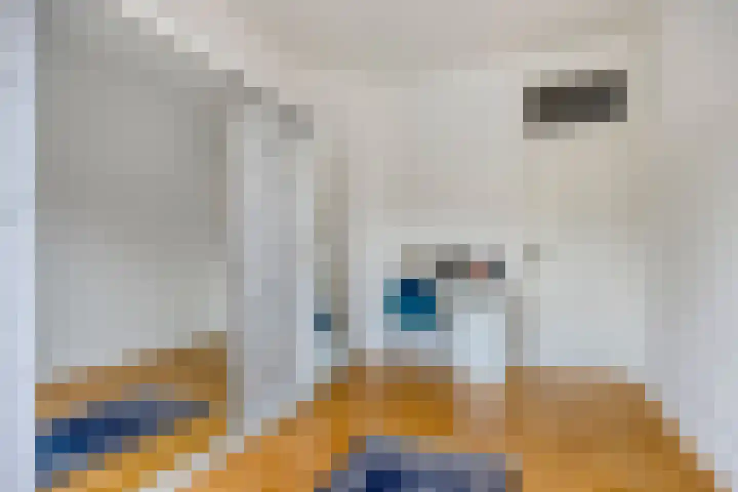 Loosduinsekade 575 Den Haag thumbnail 28